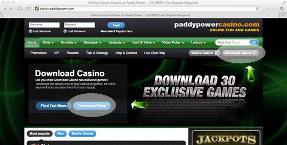 Paddy Power Casino App